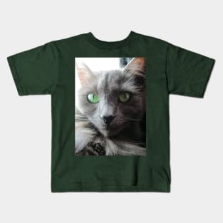 Stunning green eyed grey cat Kids T-Shirt